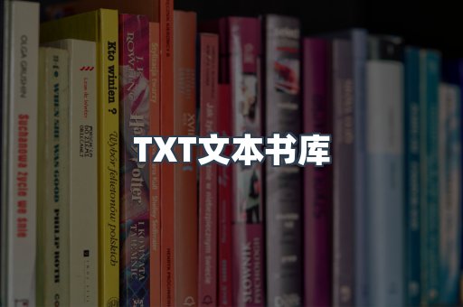 TXT文本书库